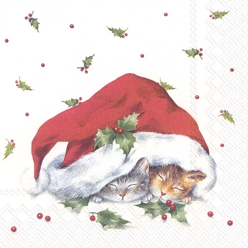 Julservett från IHR -  *Söta julkatter*