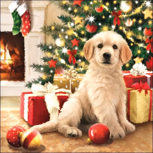 Julservett från Ambiente - *I väntan på julklappar* - Golden retriever