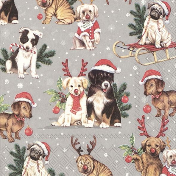 Julservett från ihr - *Hundarnas julfirande*