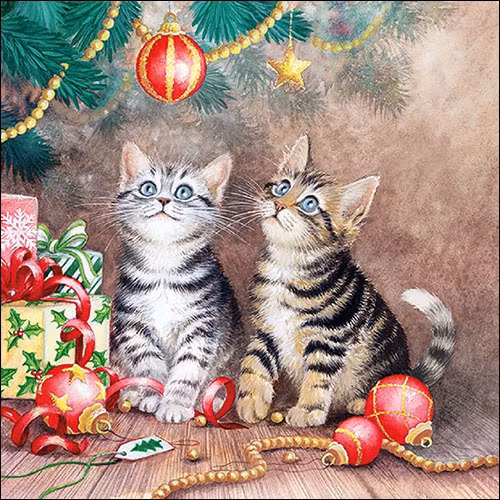 Julservett från Ambiente - *Magisk jul* - *Magic of Christmas*
