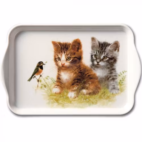 Bricka "Kattungevänner" från Ambiente