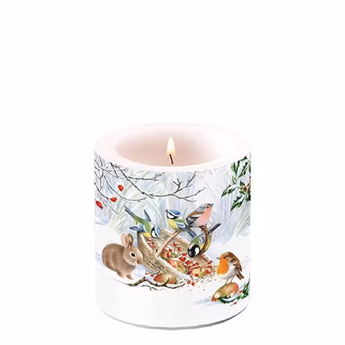 Ljus från Ambiente - *Vintergodis*