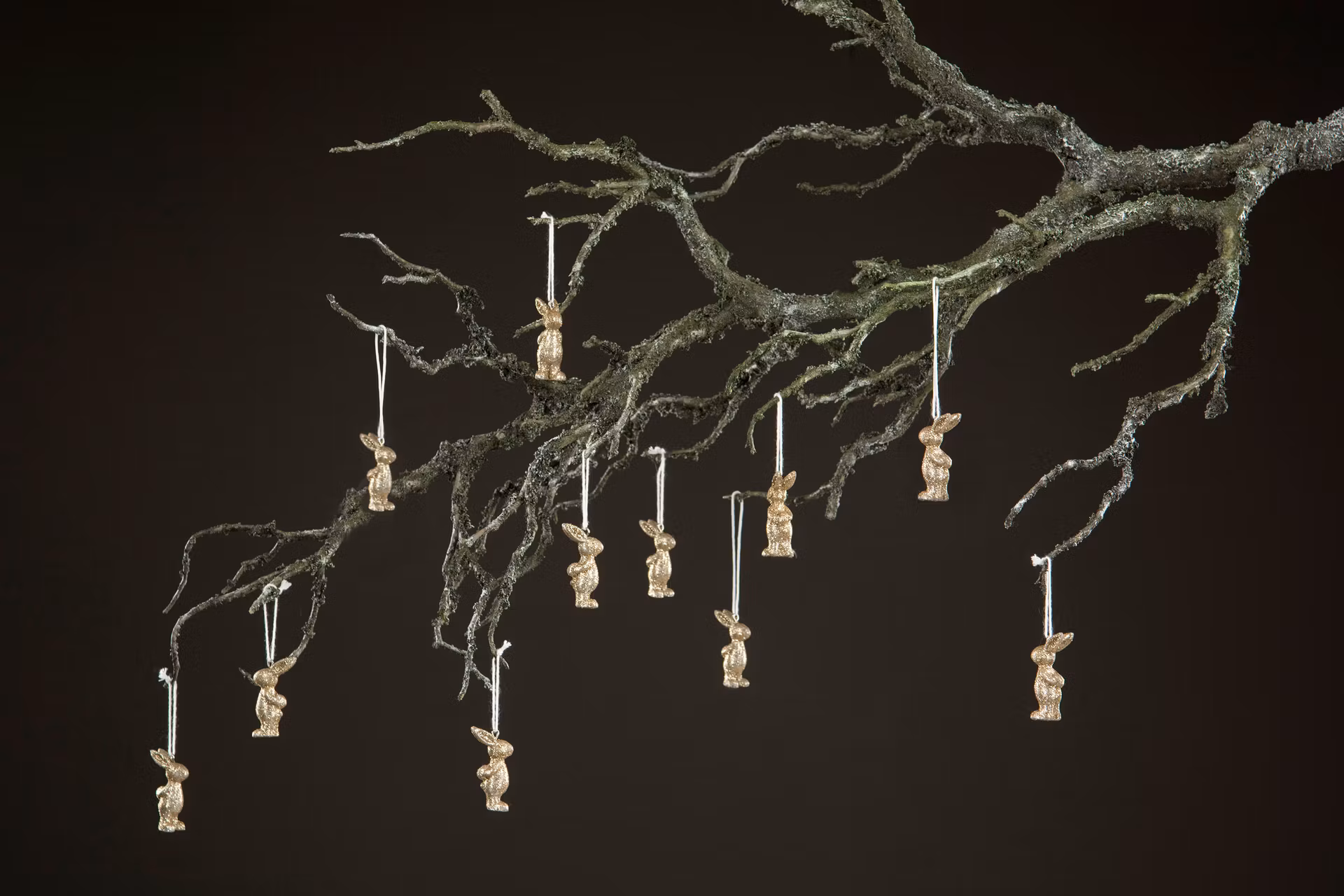Kanin/Hänge Champagne 5 cm, 6-pack