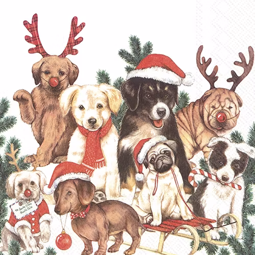Julservett från IHR - *DOG-MAS*