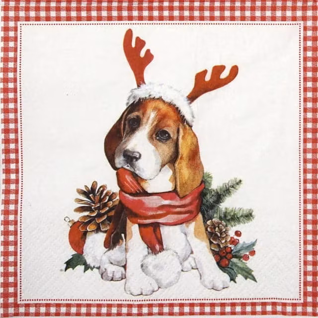 Julservett från PAW - *Julhund* - Beagle