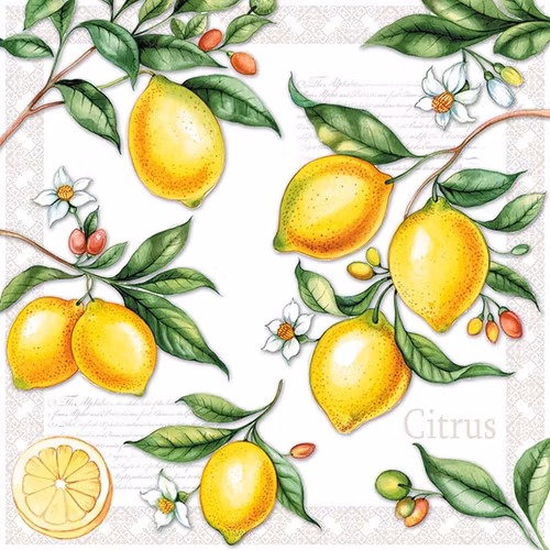 Servett från Ambiente -  *Citrus*