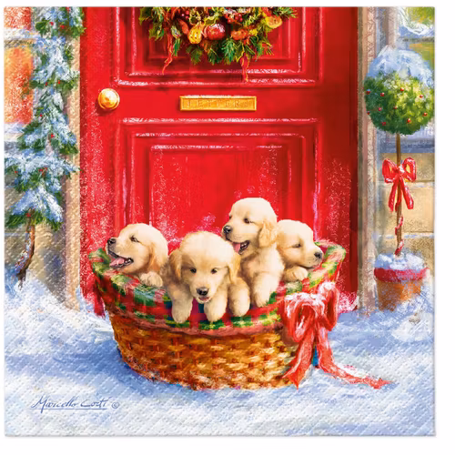 Julservett från PAW - *Julvalpar* - Christmas puppies