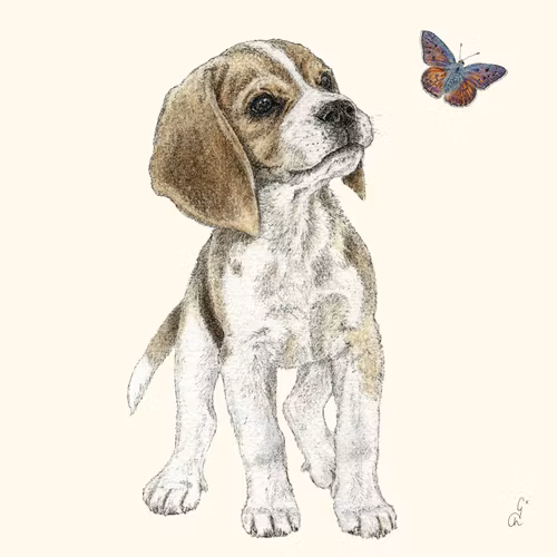 Servett från ppd - *Beagle Jean*