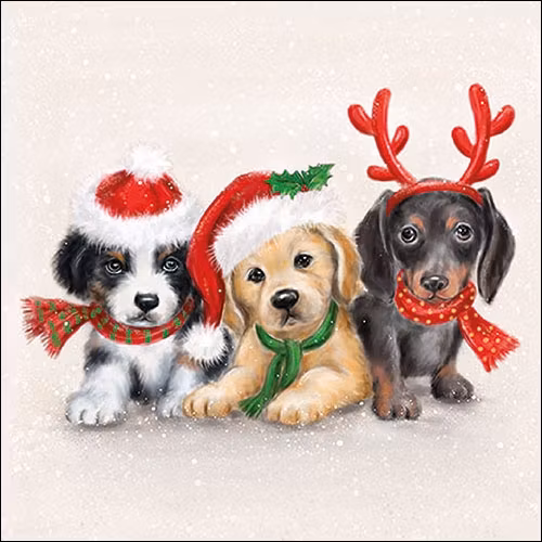 Julservett från Ambiente - *Söta hundar* - Sweet dogs