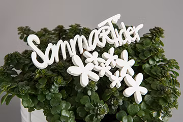 Blombukett/Stick Vit 6x4 cm