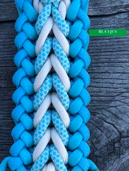 M Benno´s/Luna´s (40-49 cm)