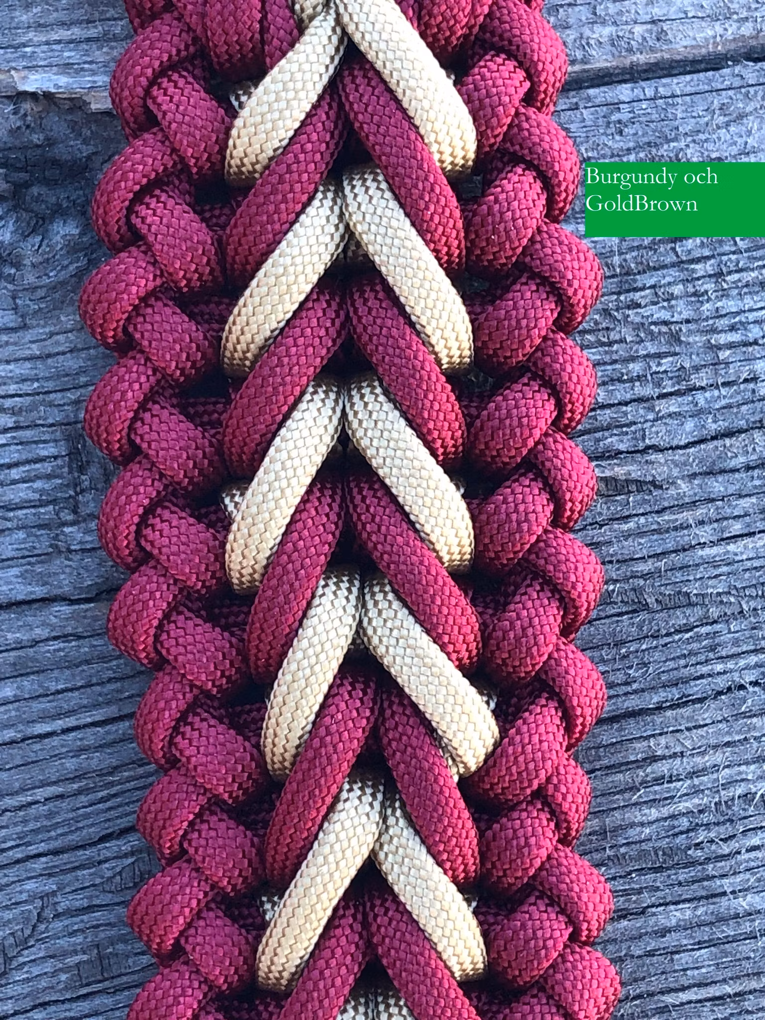 M Benno´s/Luna´s (40-49 cm)
