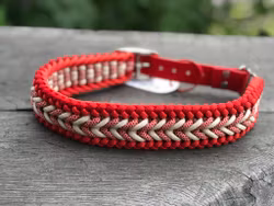 M Benno´s/Luna´s (40-49 cm)