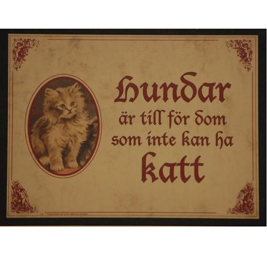 Tavla (kloka ord) "Hundar/katter"