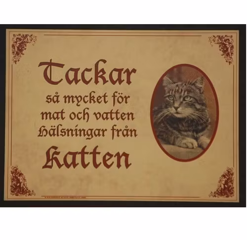 Tavla (kloka ord) "Katten tackar"