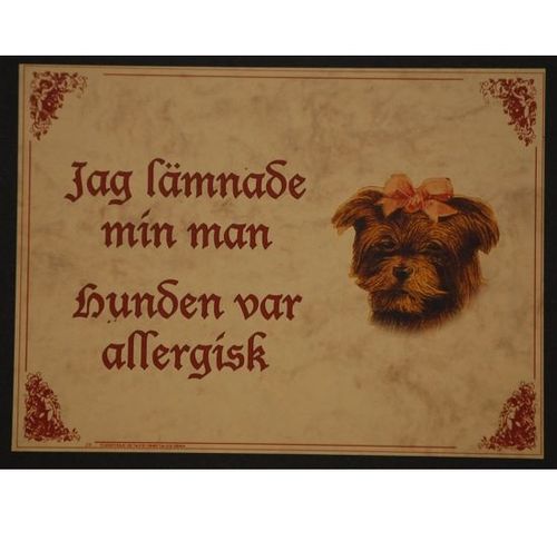 Tavla (kloka ord) "Allergisk hund"