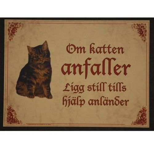 Tavla (kloka ord) "Katten anfaller"