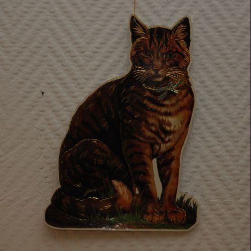Katt "Sittande" (papp)
