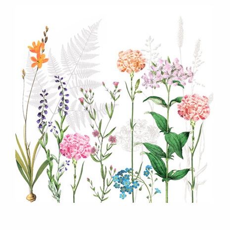 Servetter "Botanica"