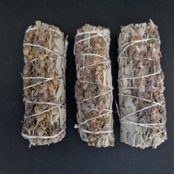 Salvia