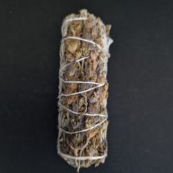 Salvia