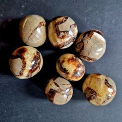 Septarian - Drakägg
