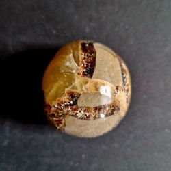 Septarian - Drakägg