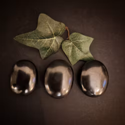 Vinterns handsten- Shungit