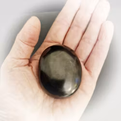 Vinterns handsten- Shungit