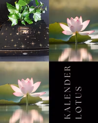 Kalender - Midvinter - Lotus