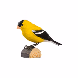 Handsnidad Amerikansk Guldsiska i trä