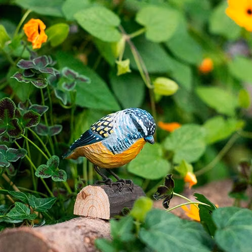 Handsnidad Fläckig Pardalote  i trä