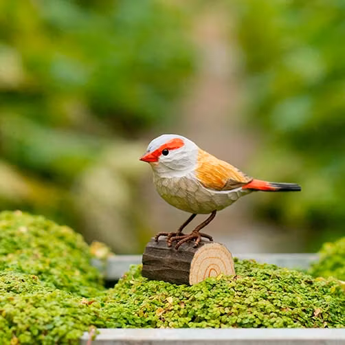 Handsnidad Rödbrynad Astrild i trä