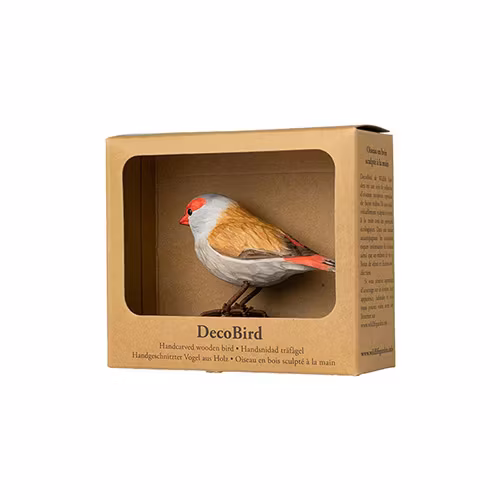 Handsnidad Rödbrynad Astrild i trä