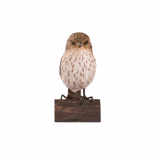 Handsnidad Tallsiska i trä