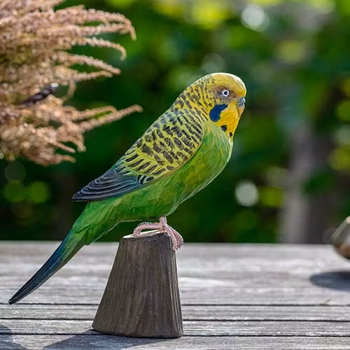 Handsnidad Undulat i trä