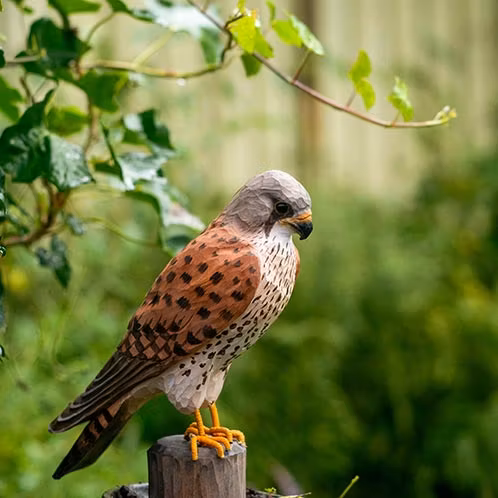Handsnidad Tornfalk i trä