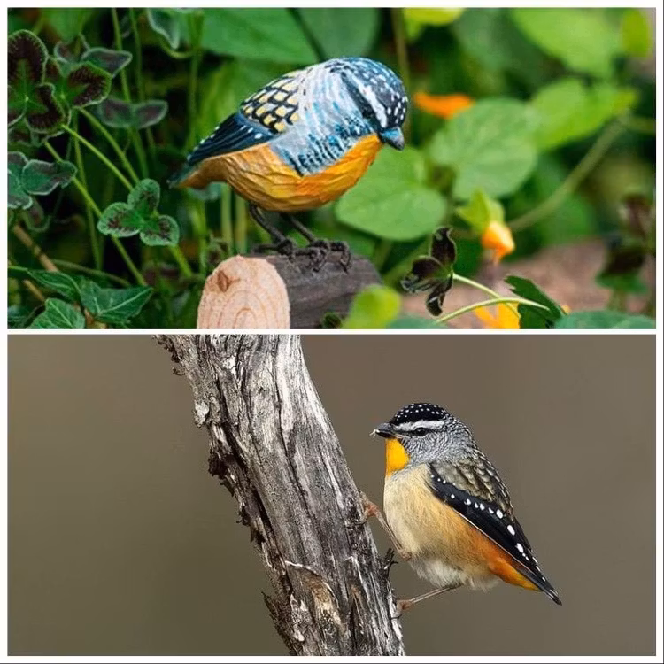 Handsnidad Fläckig Pardalote  i trä