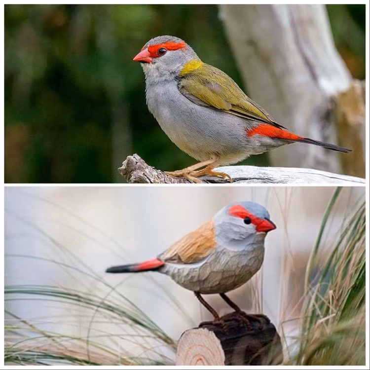 Handsnidad Rödbrynad Astrild i trä