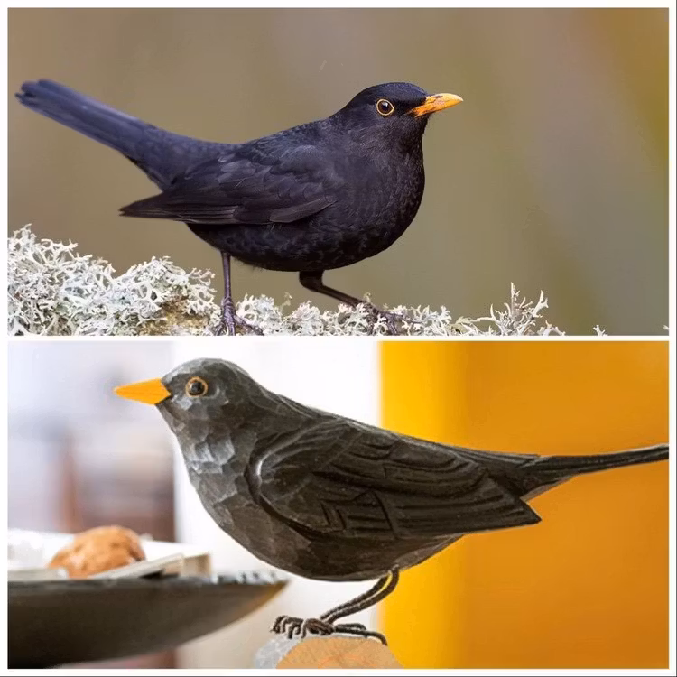 Handsnidad Koltrast i trä