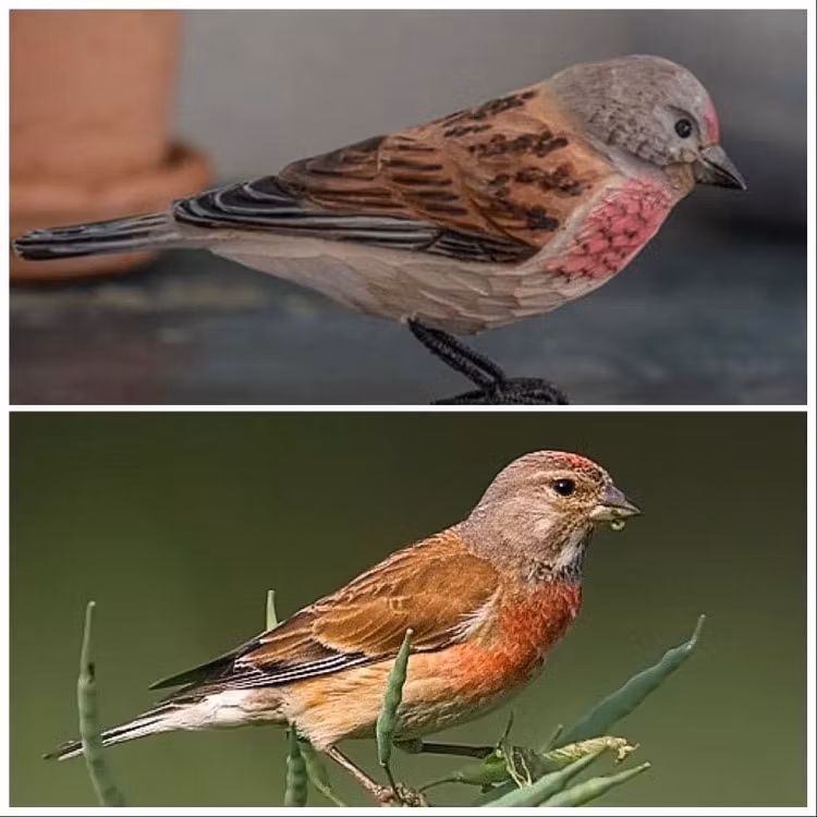 Handsnidad Hämpling i trä