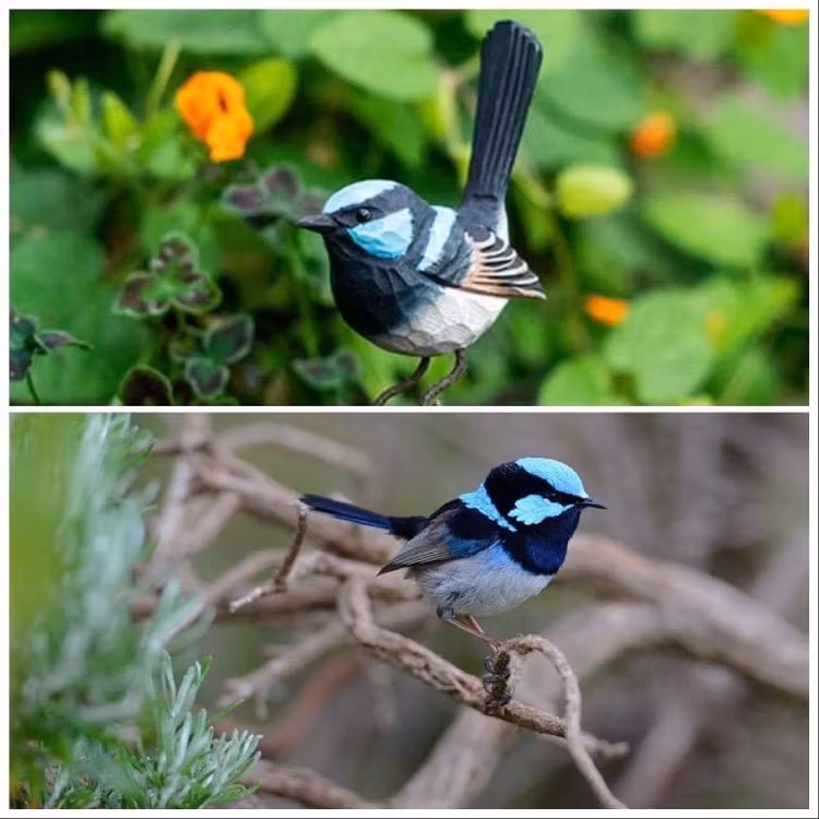 Handsnidad Vitbukig Blåsmyg i trä