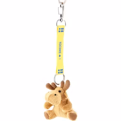 Nyckelring med karbinhake och band