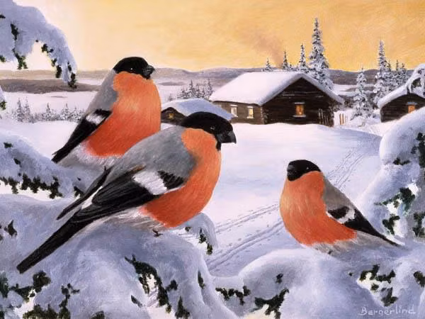 Julkort 148 x 105 mm, A6