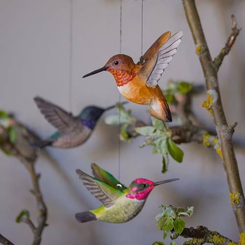 Handsnidad  Rostkolibri i par