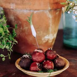 Provsticka purjolök