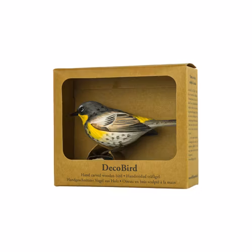 Handsnidad Gulgumpad Skogssångare i trä