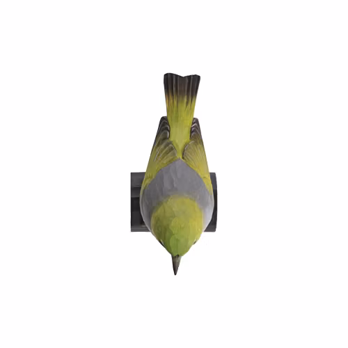 Handsnidad Gråryggig Glasögonfågel i trä