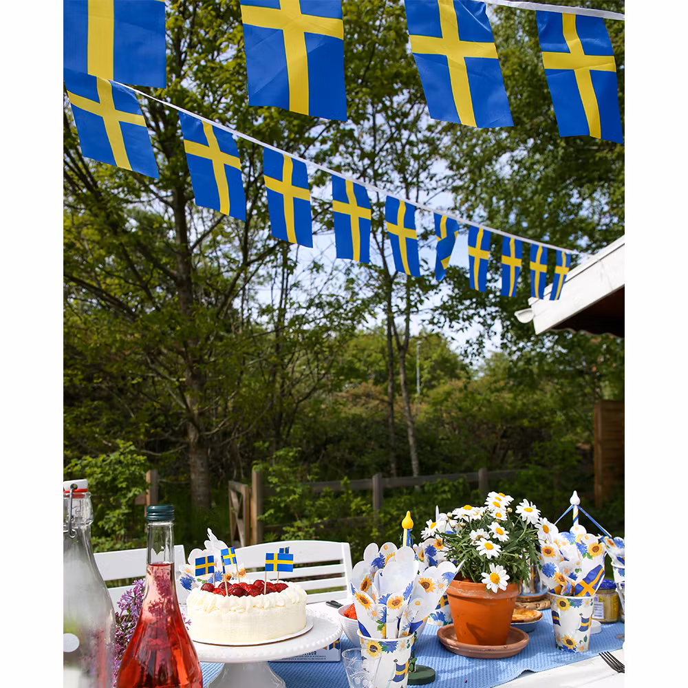 Svensk flaggirlang, 6m