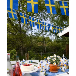 Svensk flaggirlang, 6m